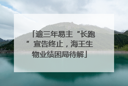 逾三年易主“长跑”宣告终止，海王生物业绩困局待解